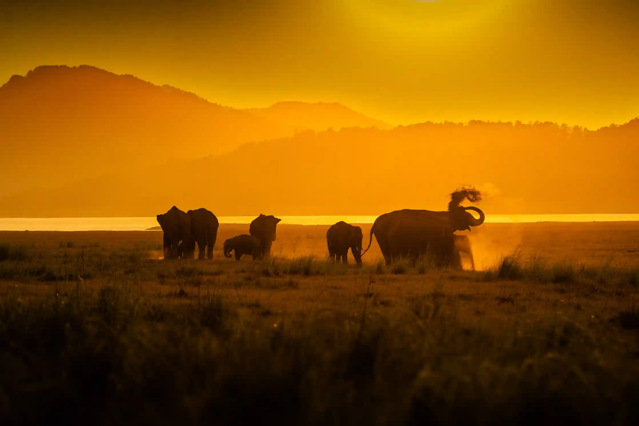 Frozen in the Wild – Wildlife Photography Prints & Frames by Indian Photographers | ClickedArt.com