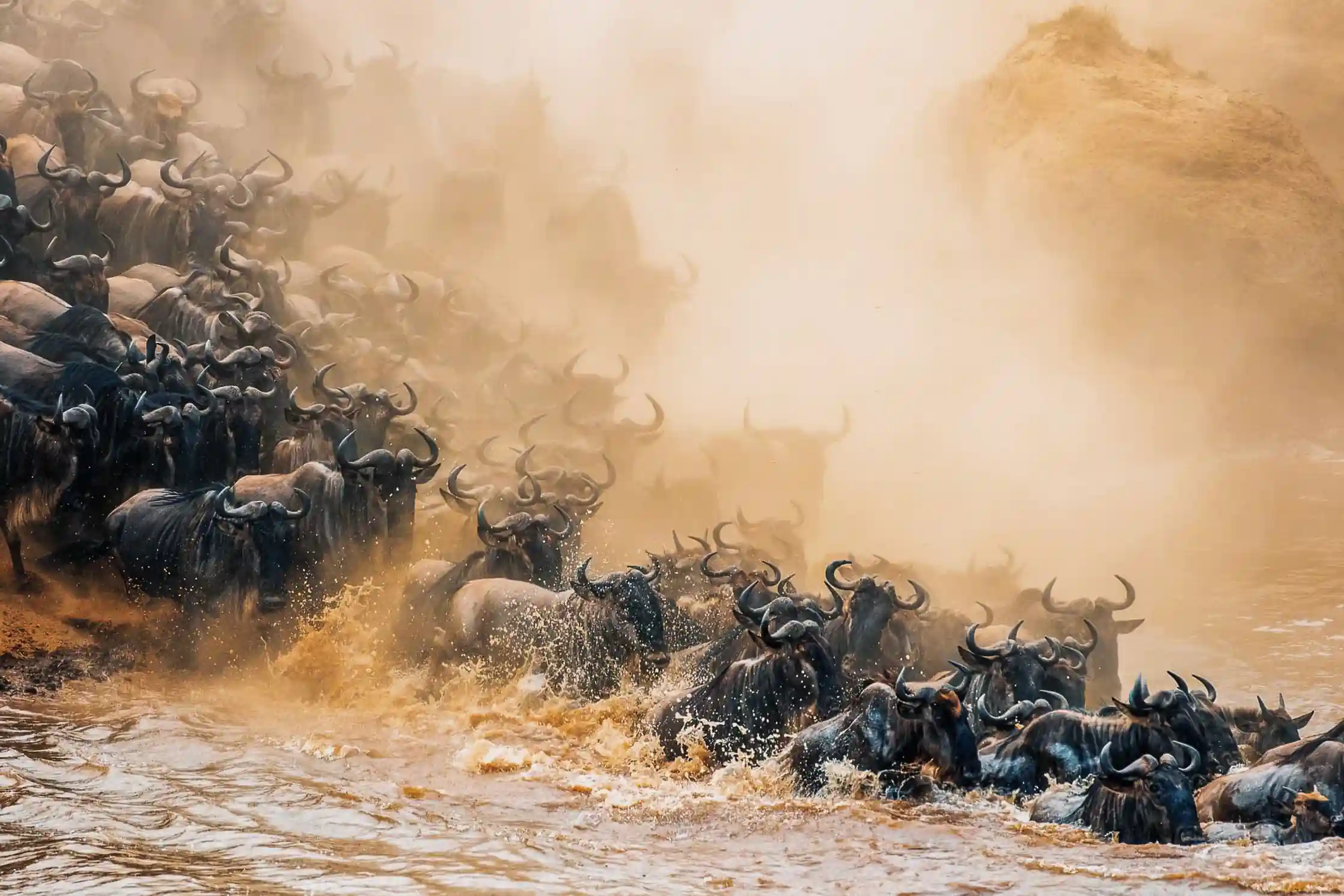 The Great Migration